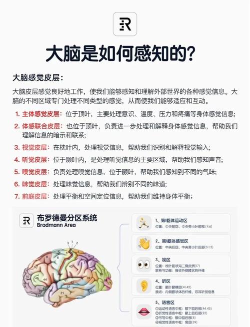 如何通过洞察竞对，有效汲取其智慧以提升自身竞争力？
