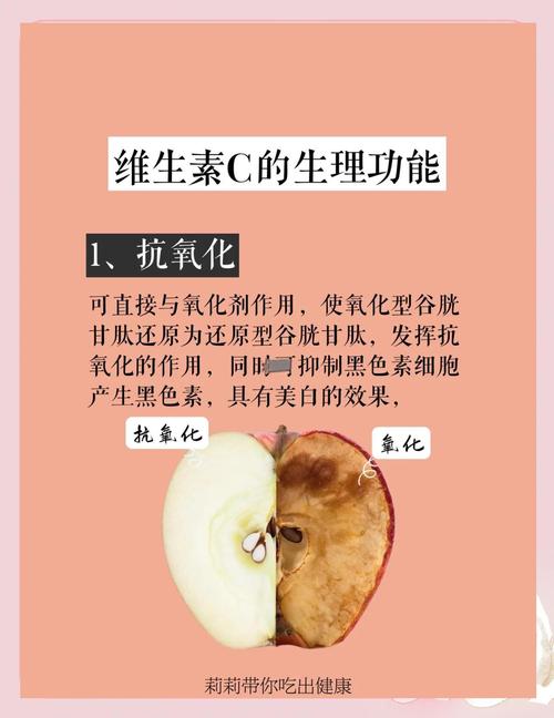 C之多态的内容是否丰富多样？