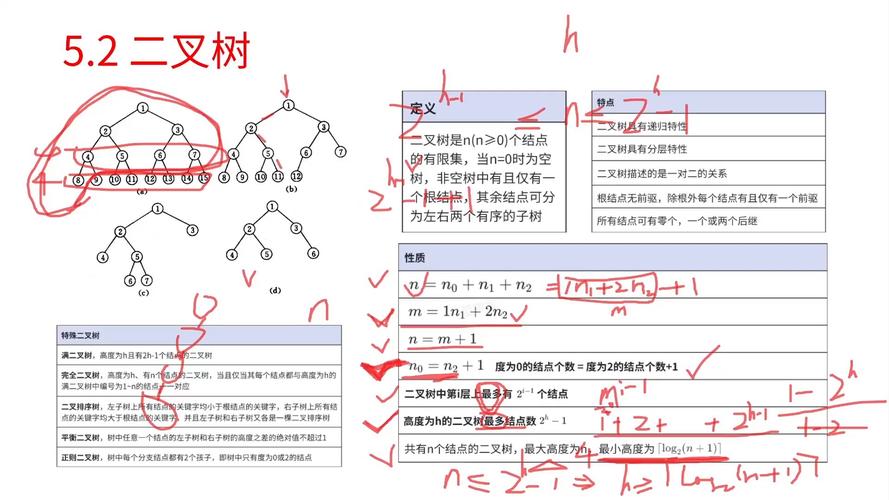二叉树的直径是什么意思？