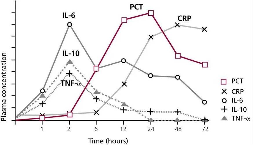 Lua病理模式在何种情况下会呈现指数级增长运行时间特征？