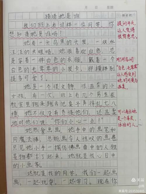 你猜猜，‘他’和‘她’哪个是长尾词？