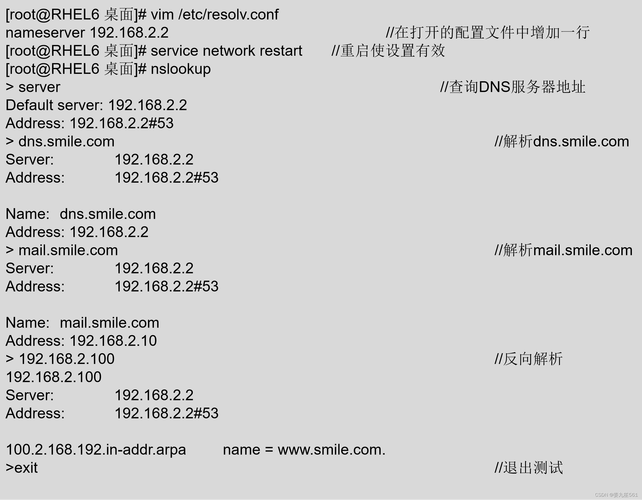 站群服务器配置多少IP最合适，关键考量点有哪些？