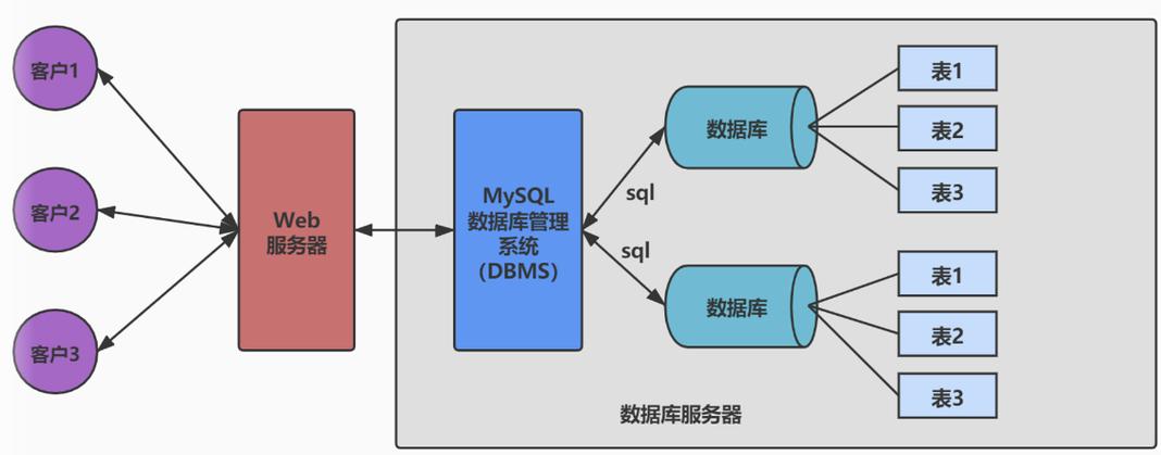 数据库中与数据存储、检索、管理相关的概念有哪些？