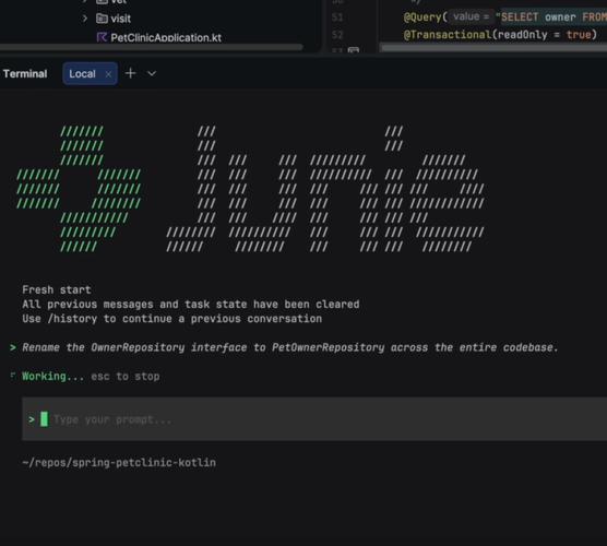 Junie CLI官宣可用，这是真的吗？官方何时正式宣布Junie CLI的可用性呢？