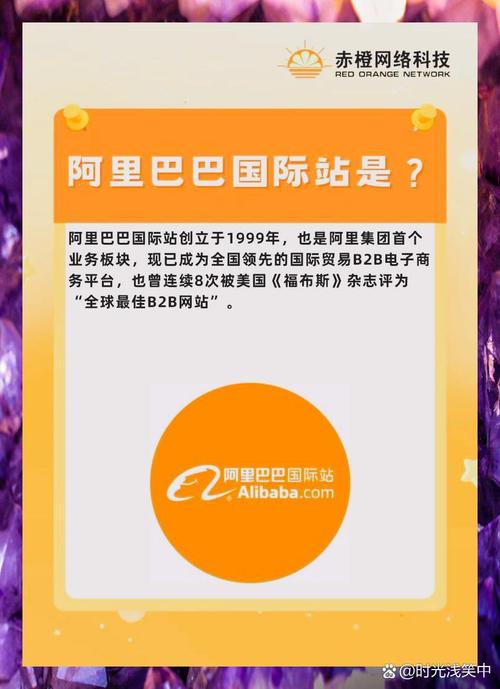 阿里巴巴的海外生意经，那些独立站是如何的？