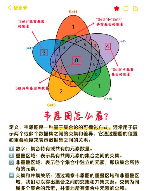 C++ STL map中的emplace()和emplace_hint()方法究竟有何不同之处？
