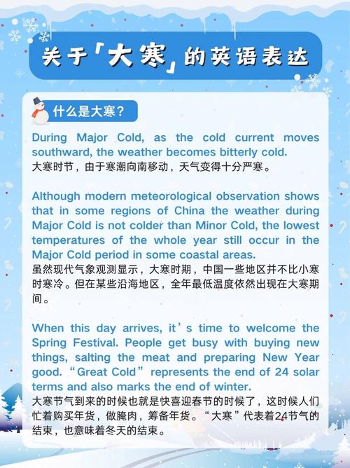 SnowflakeId是什么意思？能详细解释一下吗？