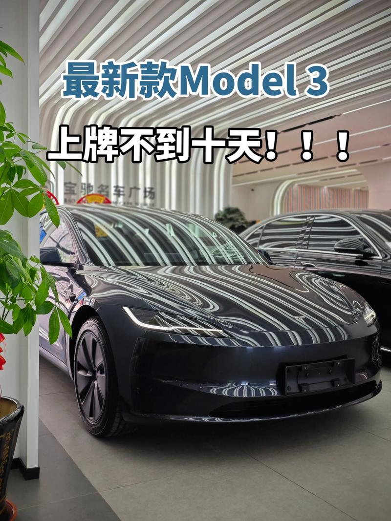 特斯拉的炒作驱动和品牌狂欢，难道不是一场长尾效应的狂欢盛宴吗？