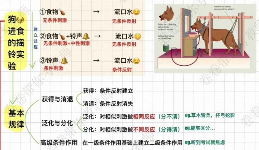 PHP反射机制如何应用于对象和类的高级特性探究？