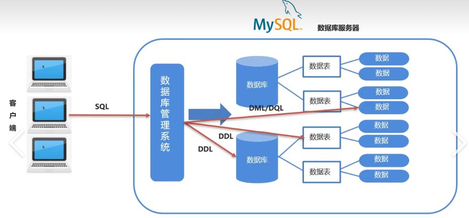 数据库中DBMS的独特角色究竟有何特别之处？
