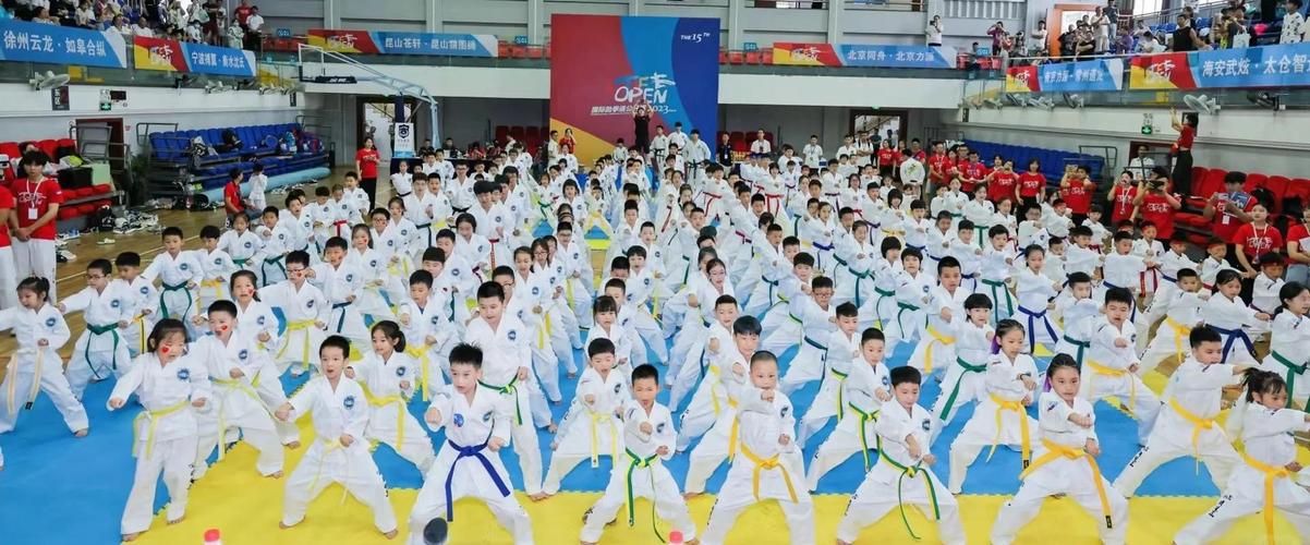 自由搏击在哪些规则和技巧上与拳击、跆拳道等运动项目存在显著差异？