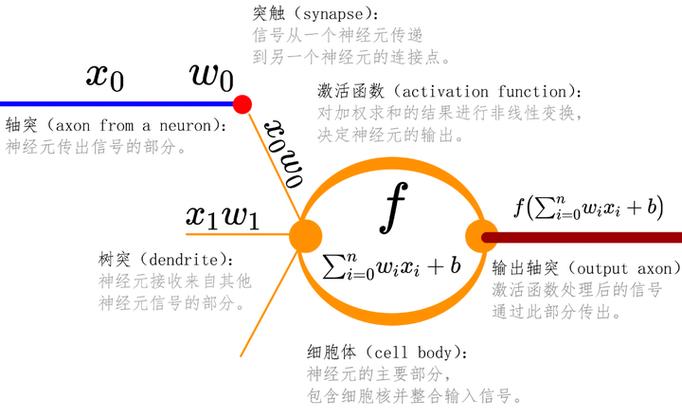 PyTorch的torch.nn与torch.nn.functional模块有何具体差异？