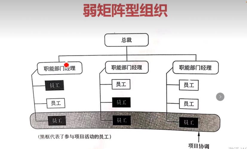 强矩阵与项目型有何根本差异？