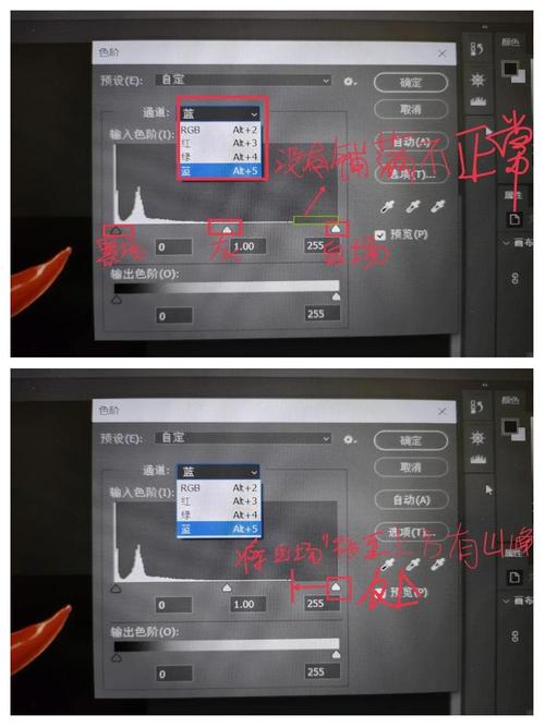 在Photoshop中，如何为图层设置背景颜色？