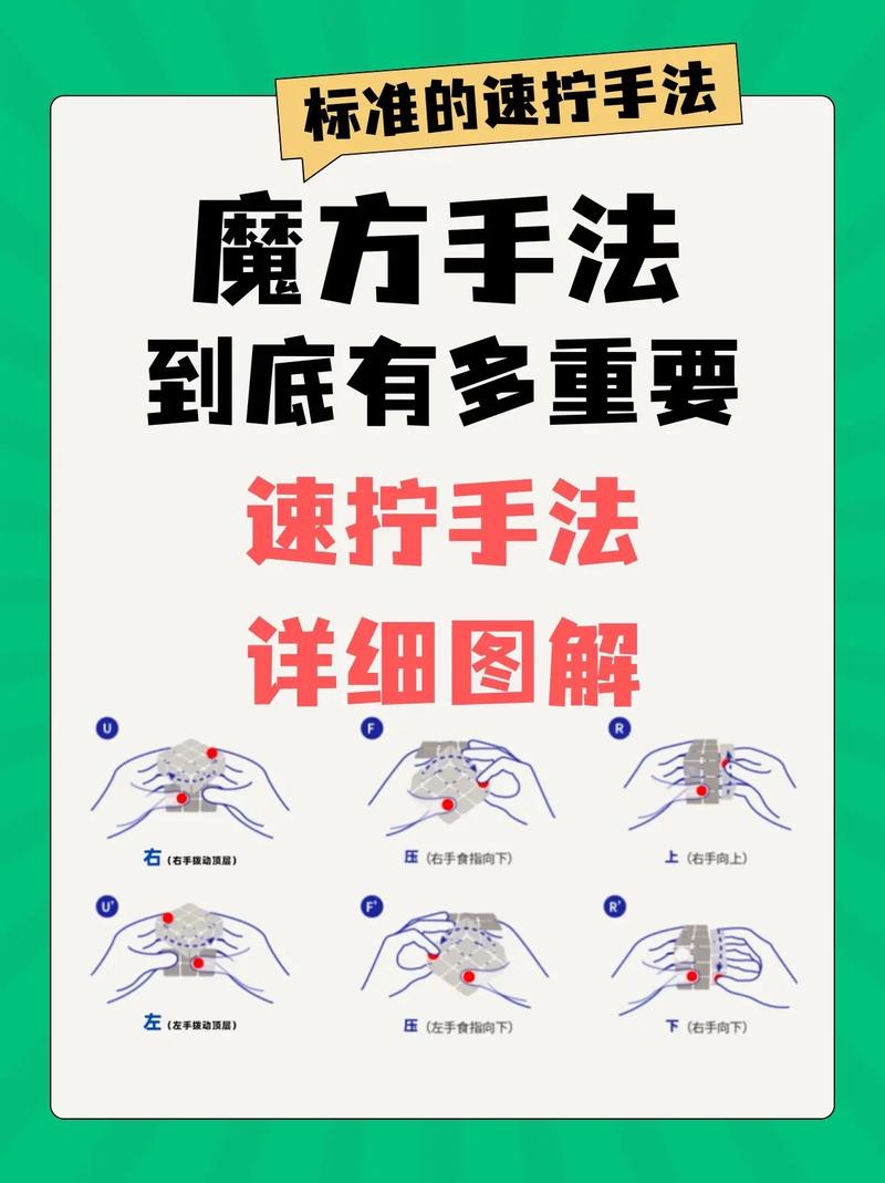 如何快速掌握入门必备技能，小白速成攻略有哪些？