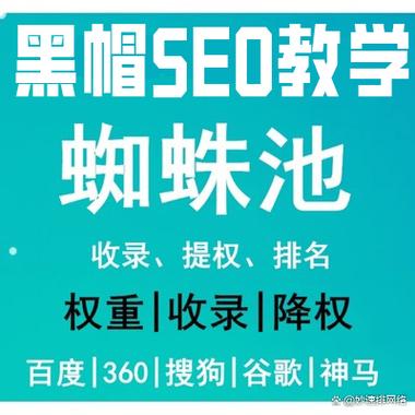 百度蜘蛛抓取限制和收录速度解析，如何优化以提升网站排名？