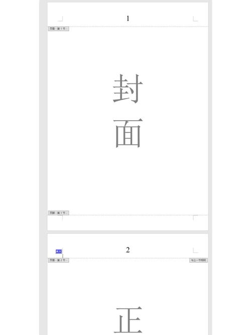 如何详细设置2007版Word文档的页码格式？
