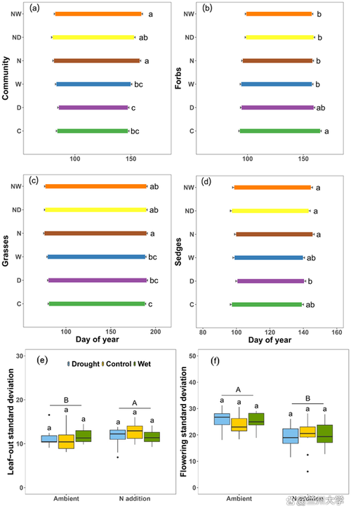环境变量是什么？它对程序运行有什么影响？