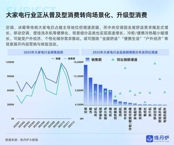 我国中小企业网络营销的现状和未来展望有哪些挑战和机遇？
