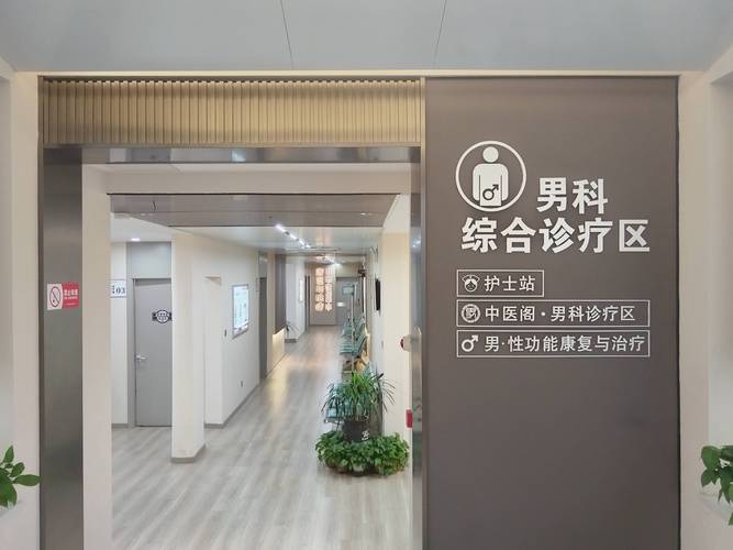 如何为男性生殖健康专科医院网站进行SEO优化和医疗诊疗机构建站推广？