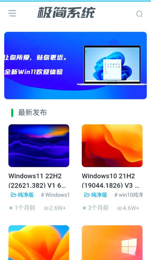 电脑系统下载网站，哪个最适合我的需求？