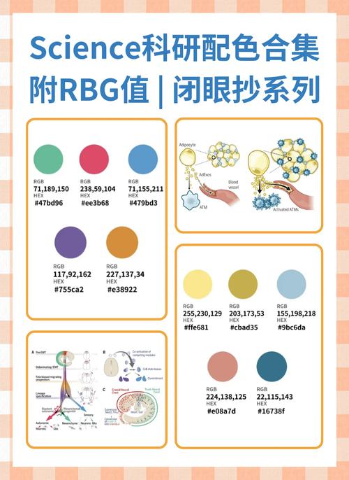 Flutter组件中如何实现取色最佳方案？