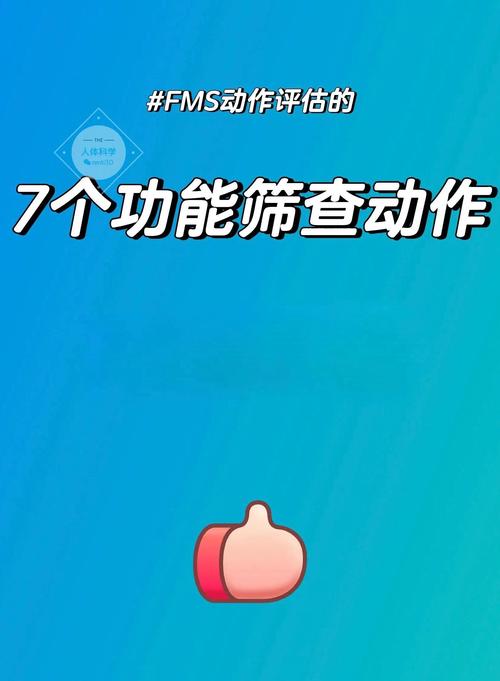 FMS3系列五，如何用FMS实现实时视频聊天（Flash或Flex）功能？
