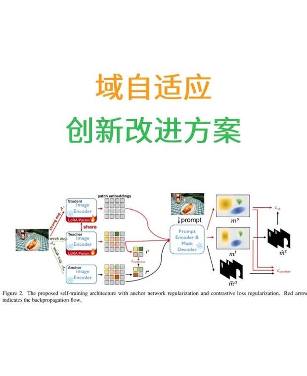 C领域探索有哪些独特方法？