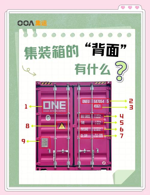 这个看似平凡的数据库背后究竟隐藏着怎样的秘密？