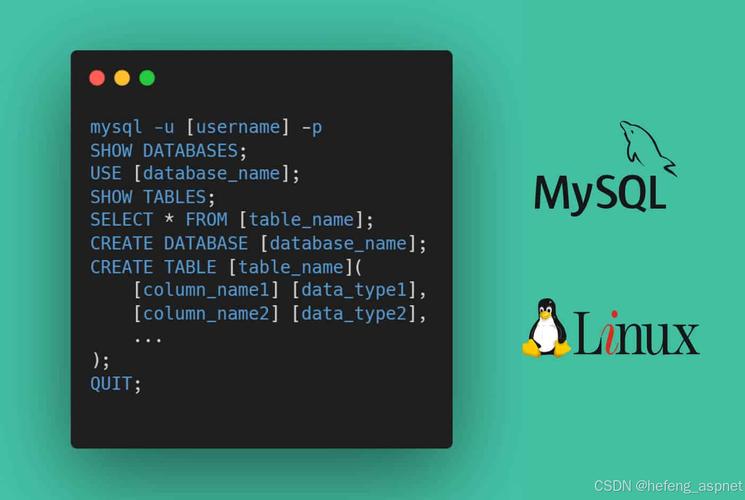 MySQL RPM 文件具体指的是什么类型的安装包？