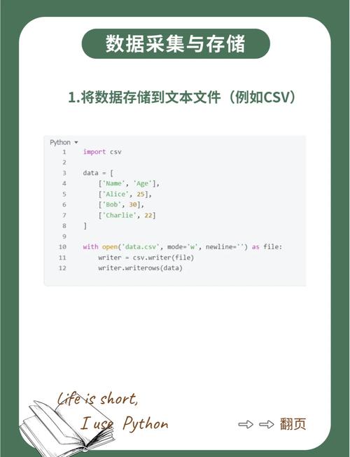 Python中数据存储方式多样，具体使用方法有哪些？