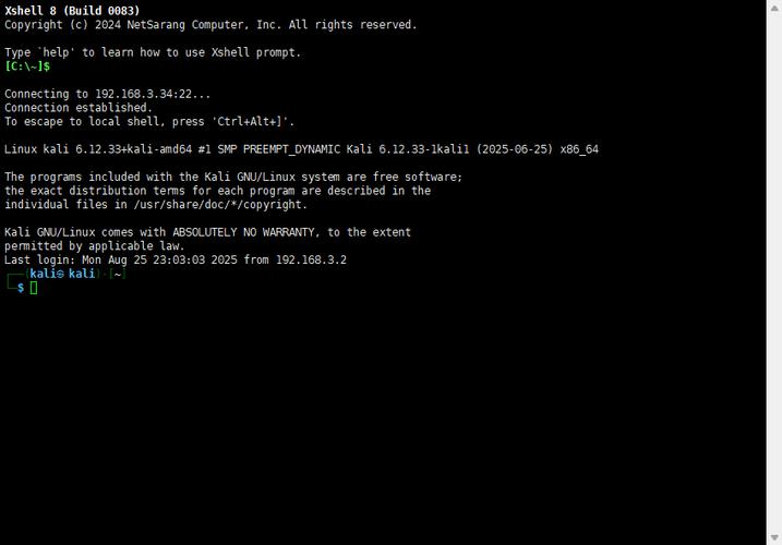 如何使用paramiko库实现SSH连接与远程命令执行？