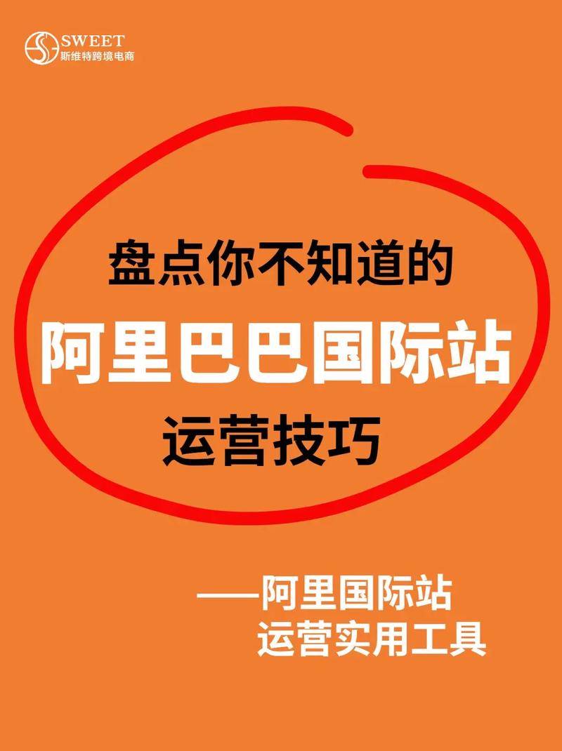 如何通过阿里巴巴独立站实现流量与品牌的双赢，成为企业增长的新引擎？