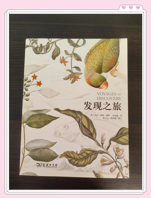 如何设计进阶网页，推荐哪些书籍，探索之旅有哪些攻略？