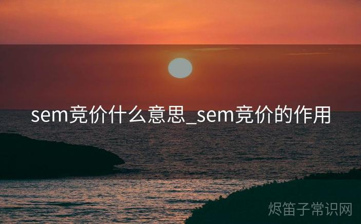 sem出价是什么意思，能否详细解释一下？