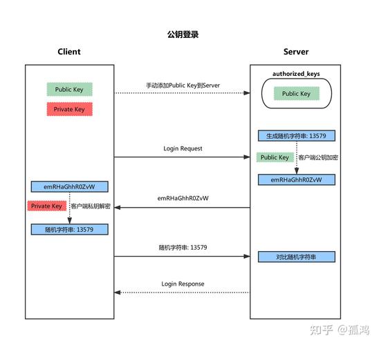 如何配置Hadoop集群中的SSH免密登录？