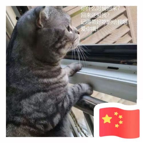 如何用Python代码在头像上添加一个迷你中国国旗？