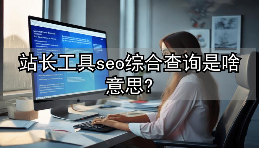 请问seo站长综合查询具体指的是哪些方面的信息查询？