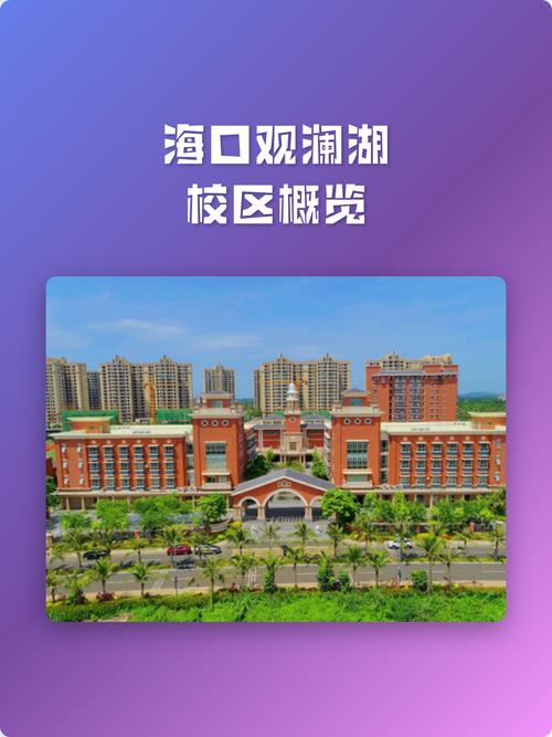 海口建设专业网站有哪些深度解析，学校与课程概览介绍详细吗？