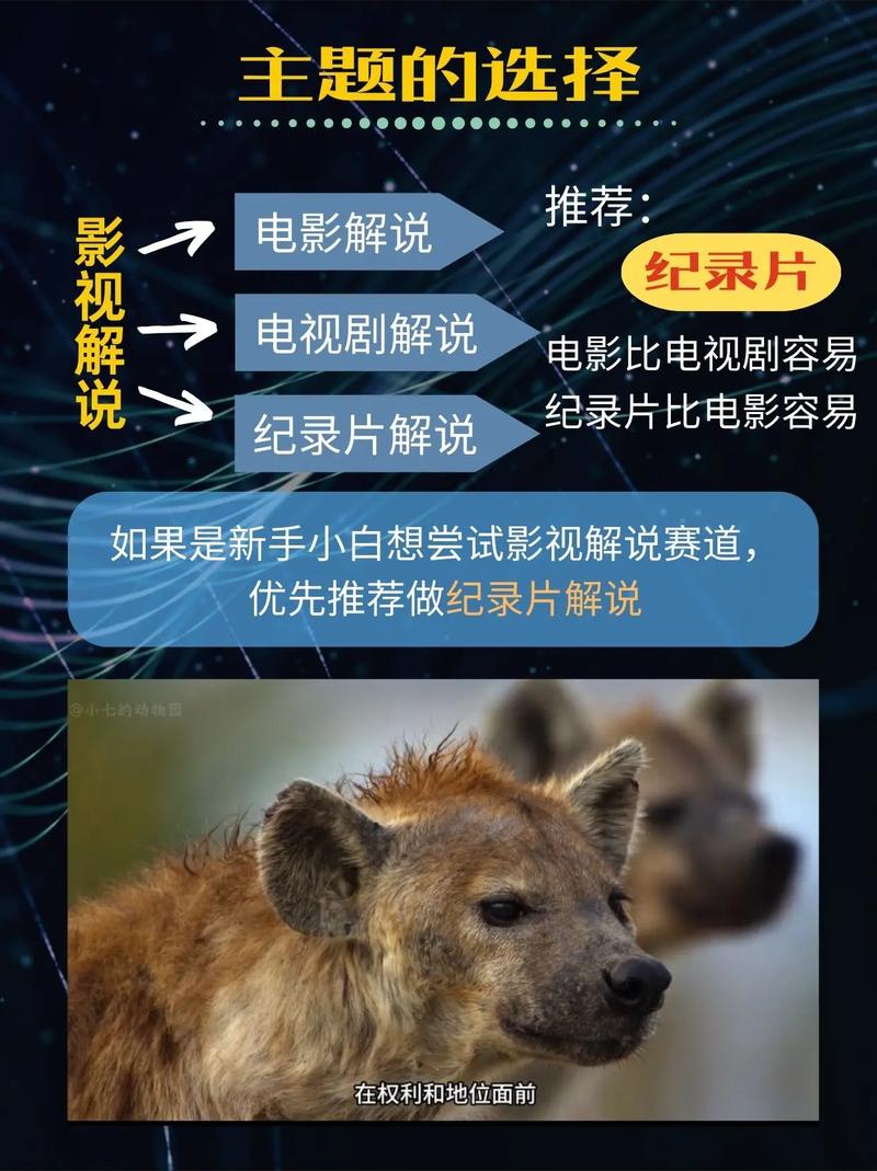 如何轻松解锁影视解说神器，高效创作爆款解说内容？