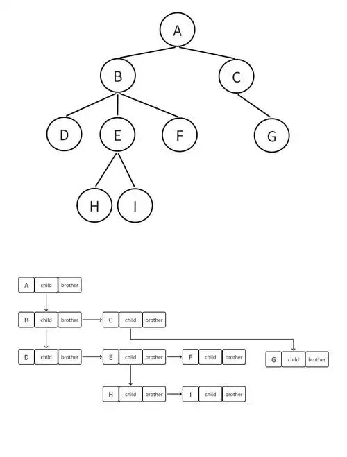 数据结构中的树，有哪些应用场景和特点？