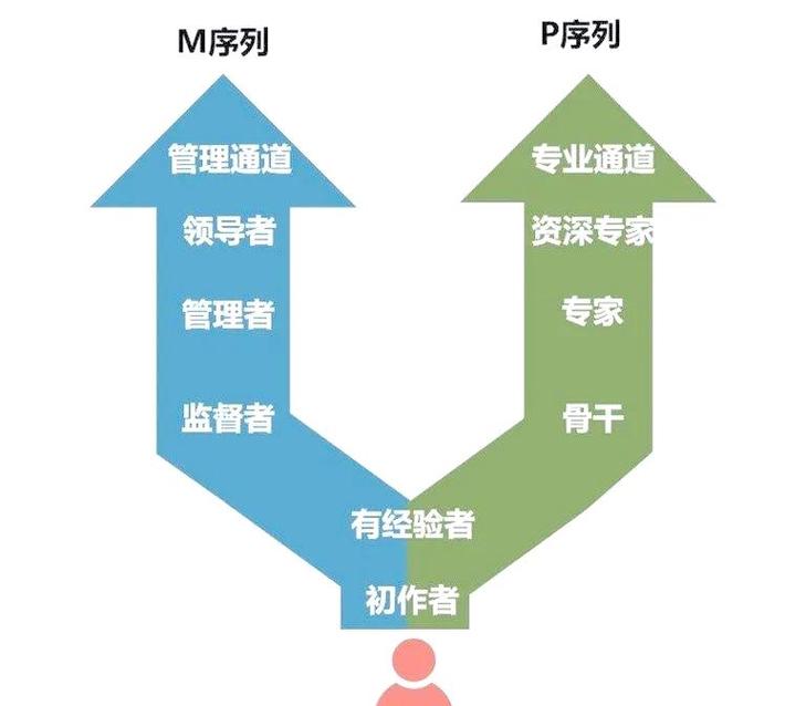 SEO职业探索，有哪些多方位路径和技能可以发展？