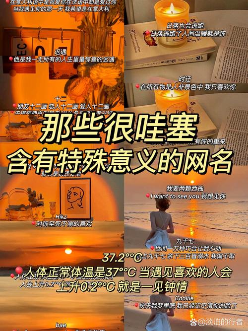 千金级.pr域名，其外属性‘千金’有何独特之处？