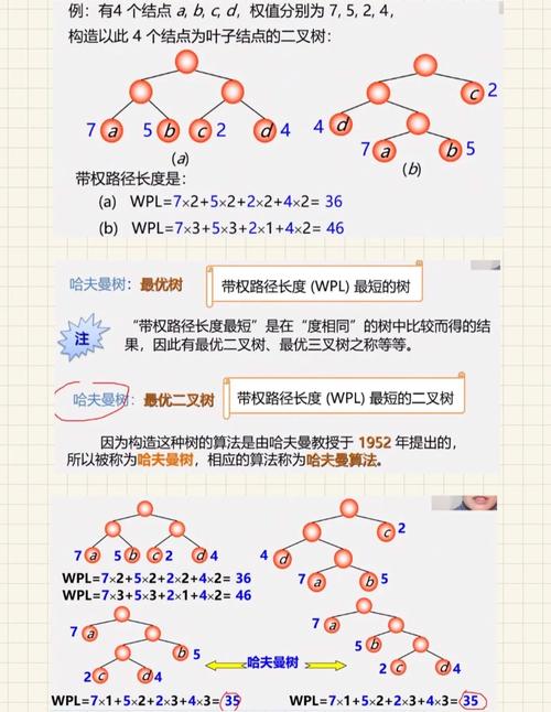 如何实现哈夫曼树在数据结构与算法中的应用？