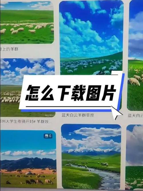 如何在高图版率网站上找到高清高质量图片资源？
