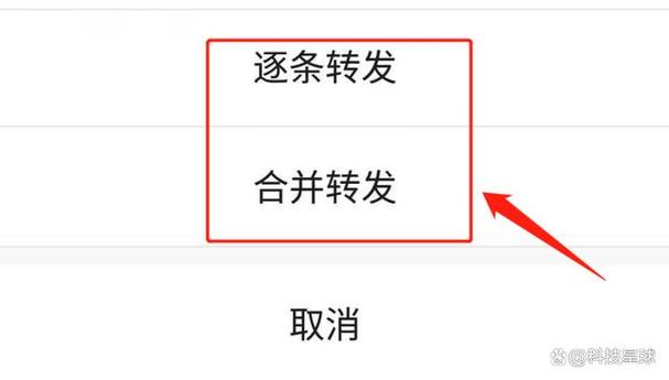微信小程序转发分享功能如何实现，有哪些长尾词技巧？