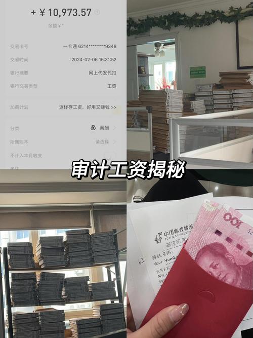 数据库审计工资为何如此之高?揭秘高薪背后的工作内容?