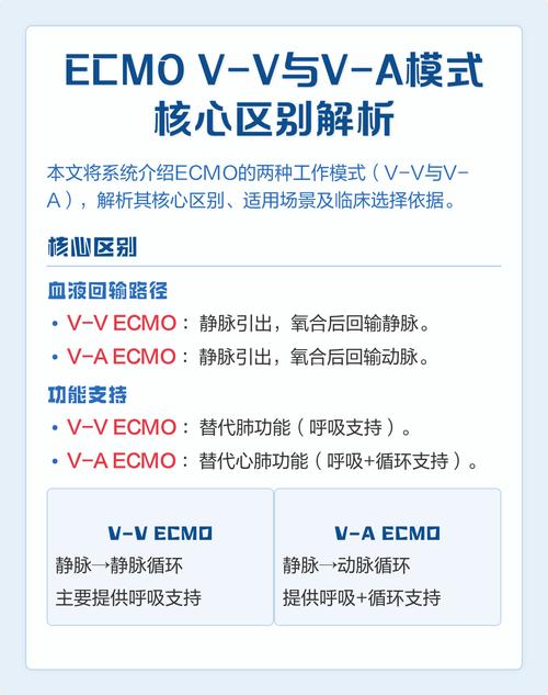 ECMAScript中原始值和引用值有何本质区别，如何正确理解和运用？