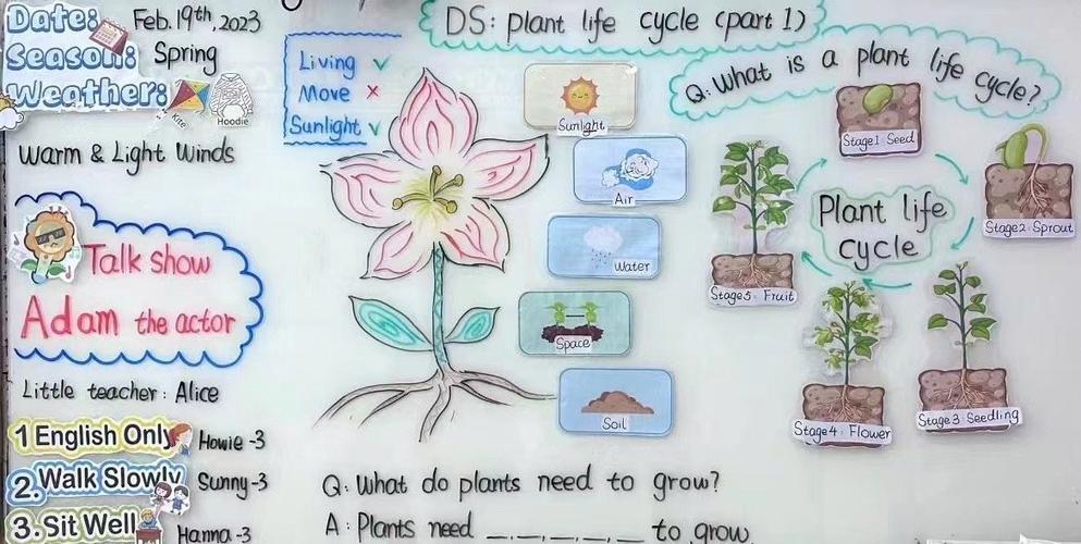 Pod的生命周期如何通过长尾词表达？