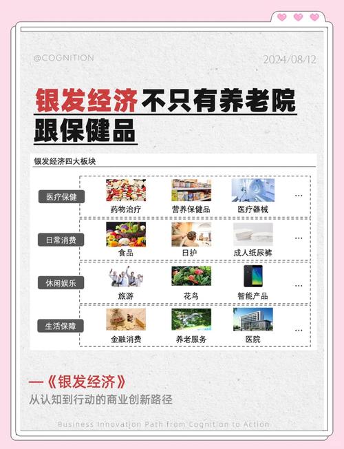如何通过SEO优化改造银发经济创业加盟网站，有效推广老年俱乐部市场？
